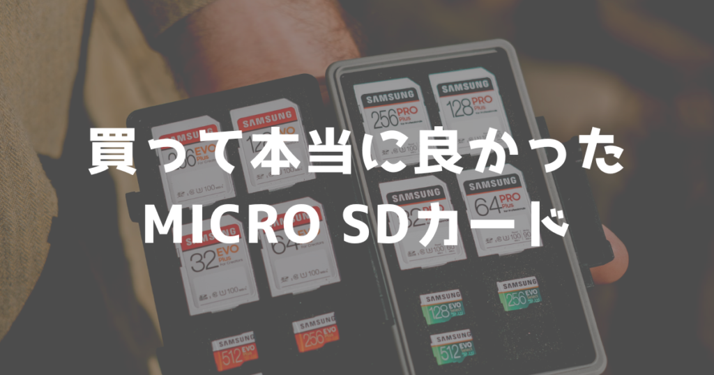 2024年製Nintendo Switch LiteスマブラS 荒れ狂う Dカードケース付